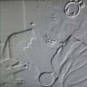 Meet your Posher, Derrick